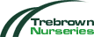 Trebrown