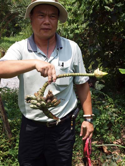 Hui-Lung Chiu with small bunch Hui-Lung Chiu with small bunch